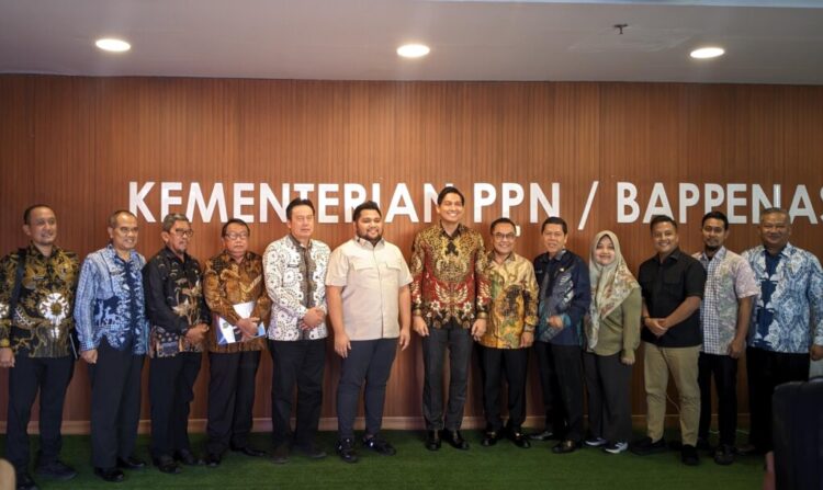 Sinergi Pembangunan Daerah, Bupati Indramayu Temui Bappenas untuk Sinkronisasi Program Kerja